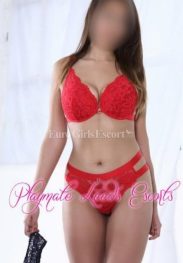 Willow , agency Playmate Leeds Escorts Agency
