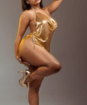 9911065777, Call Girls / Escorts Service In Adarsh Nagar, Delhi