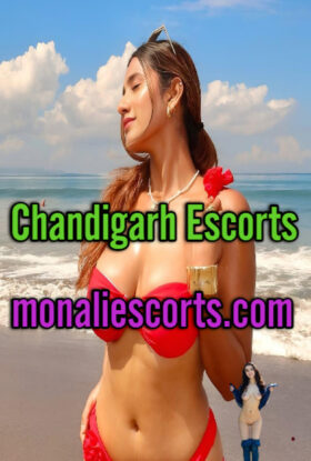 Chandigarh Escorts